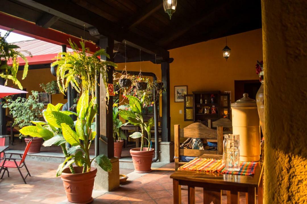 Hotel Palma De Mallorca Antigua Eksteriør bilde